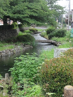 小雨降る中を歩いて（7月8日、水）_c0147935_21244253.jpg