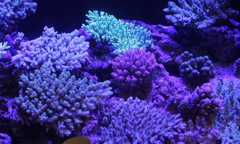 d0221436_22314454.jpg