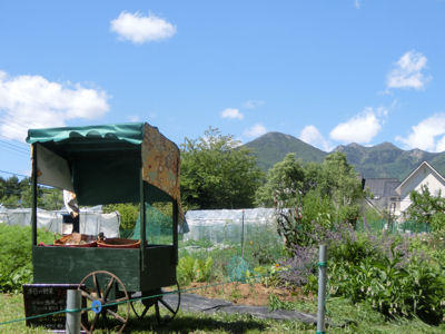 採り立て野菜直売所_f0019247_23122928.jpg
