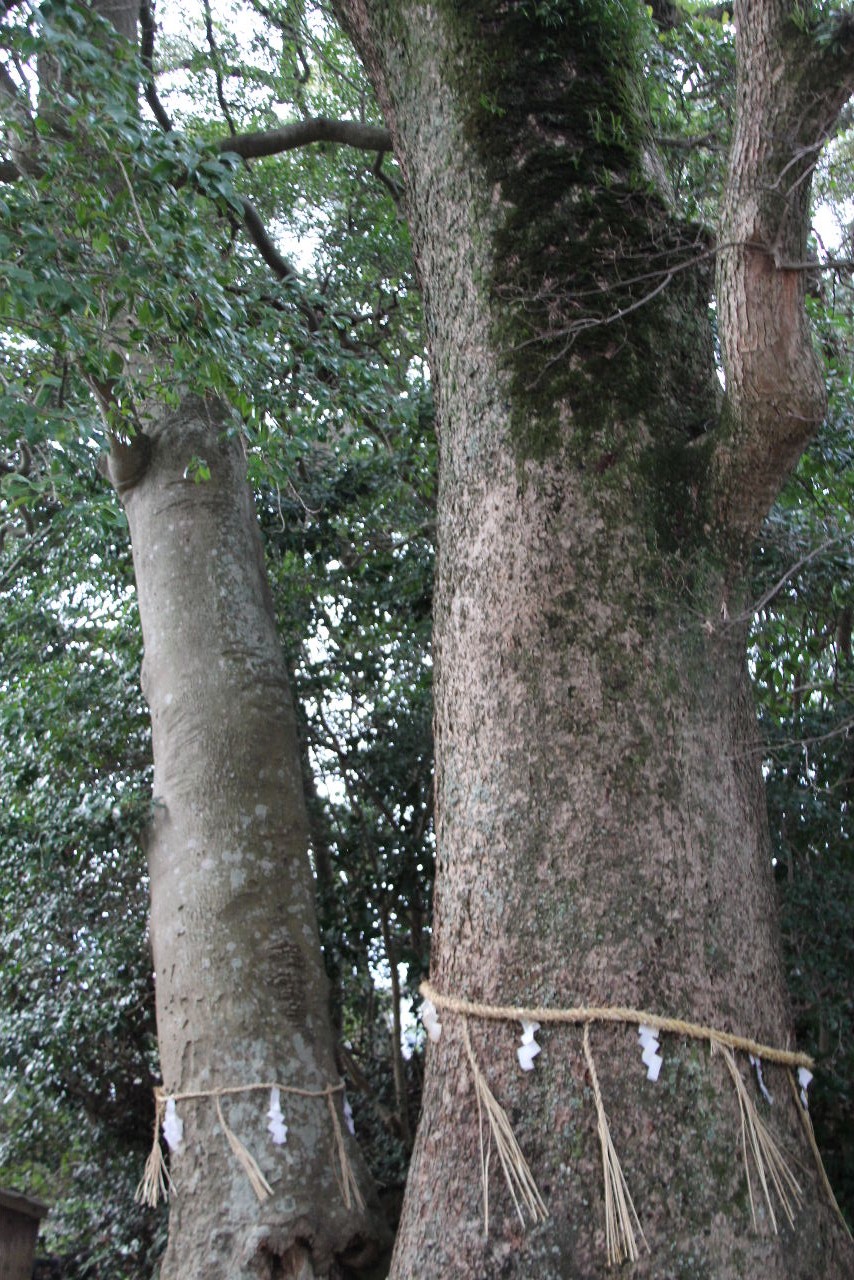 【諏訪神社】 　百済の鷹使い誓来と諏訪姫の悲話伝説_c0011649_4541926.jpg