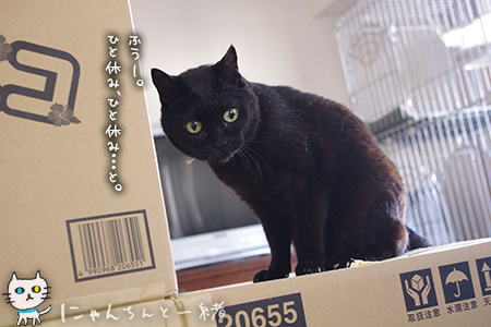 何をするのも、ここw_e0031853_1404440.jpg