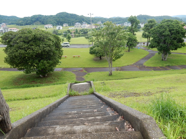 ’15,7,10(金)やっと晴れたYO!_f0060461_1004043.jpg