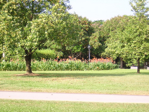 c0357964_11147.jpg