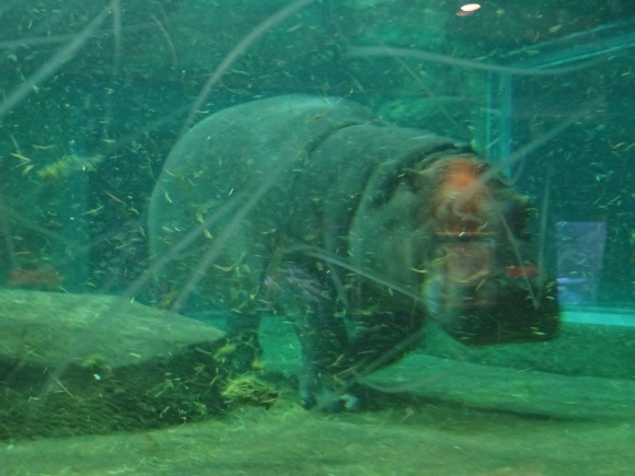 b0236665_05242032.jpg