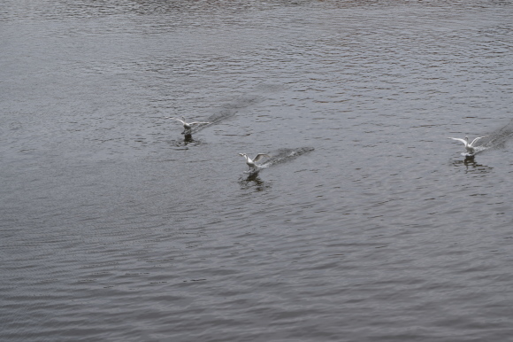f0341967_07581325.jpg