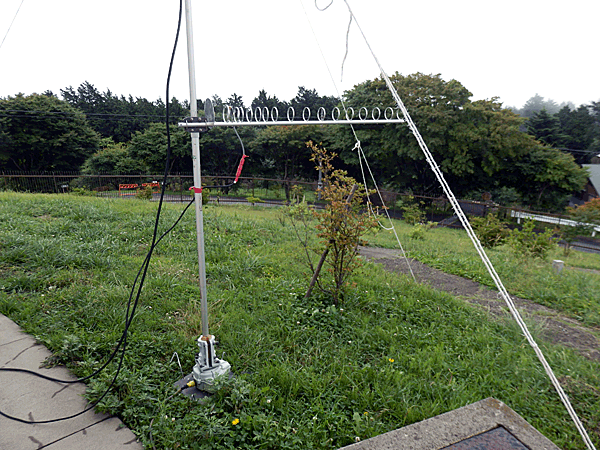 a0238278_23245837.gif