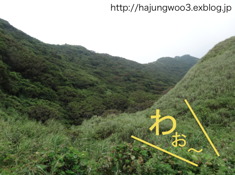 e0148490_034641.png
