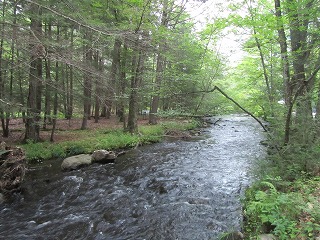 b0209691_14525572.jpg
