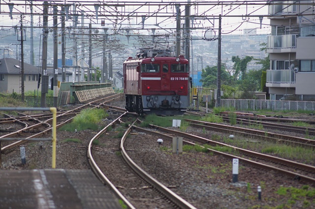 d0181492_23265165.jpg
