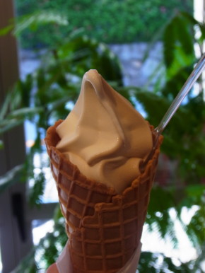自由が丘 アイスクリーム ソフトクリーム専門店 自由が丘ソーワアイス Muttering To Myself 自由が丘 アイスクリーム ソフトクリーム専門店 自由が丘ソーワアイス Muttering To Myself