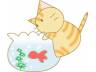 里親さま募集中 ☆ けんぞう_f0242002_2552343.jpg