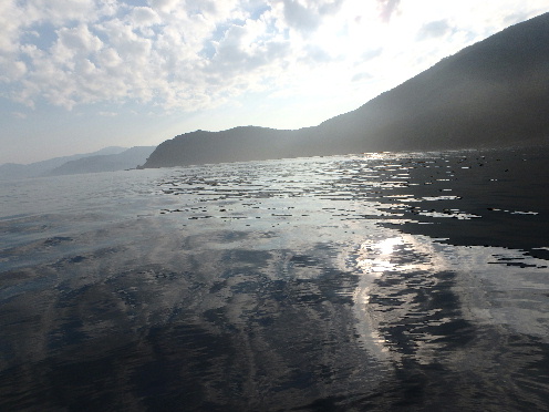b0137704_21373231.jpg