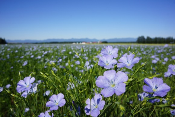 c0223508_16551419.jpg