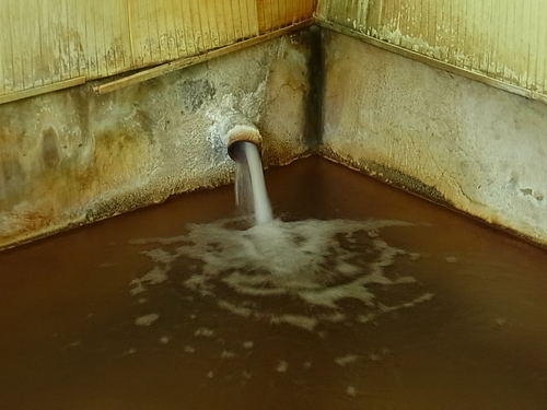 e0243008_16391493.jpg