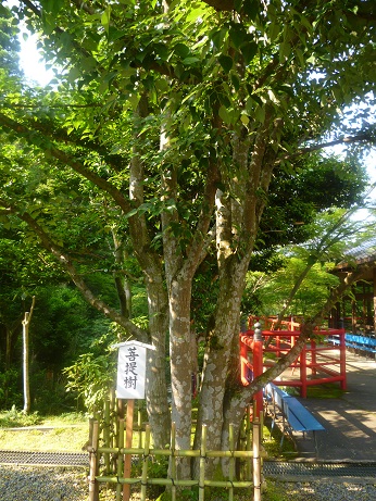 f0228619_22575218.jpg