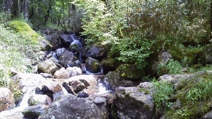 e0348420_18224622.jpg