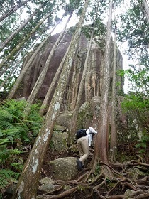 熊野古道　馬越峠(^▽^;)_c0362123_03373447.jpg