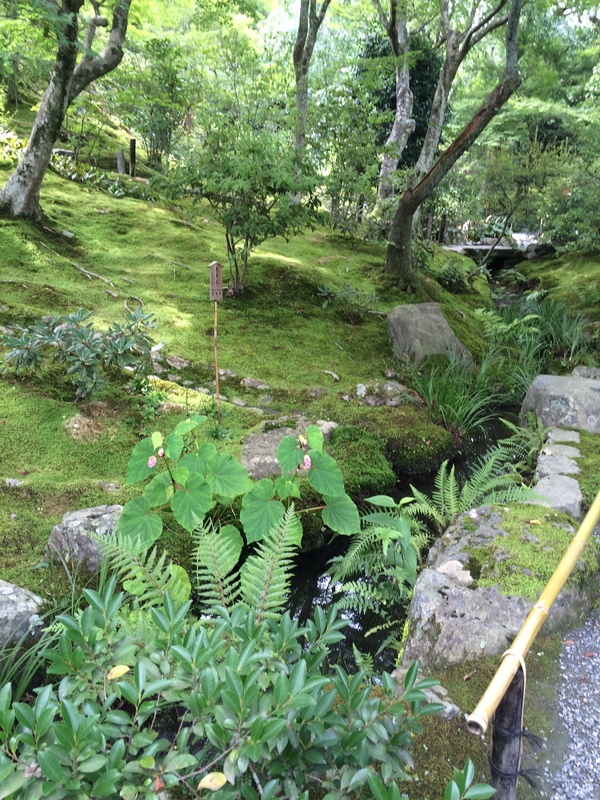 初夏の天龍寺庭園と水墨画展覧会_a0197730_21403856.jpg