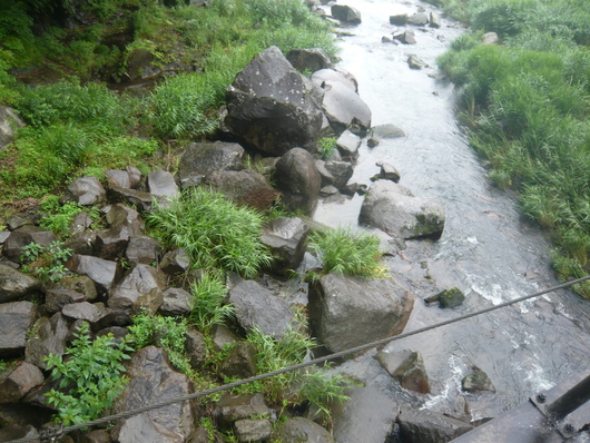a0206332_11232432.jpg