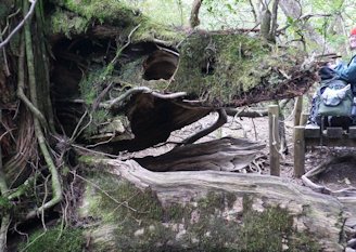 b0137933_0151421.jpg