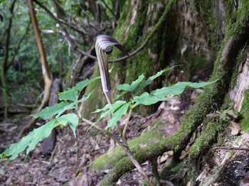 b0137933_023085.jpg