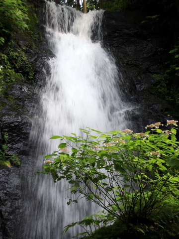 八尾町の川倉不動滝_d0081235_2013583.jpg