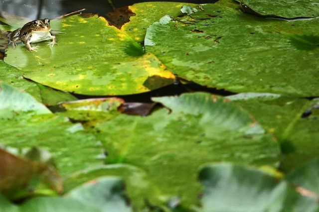 a0242438_17063.jpg