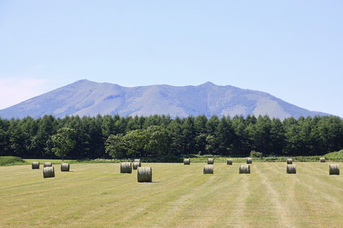 のんびりゆっくり北海道 7月11日_f0113639_16531139.jpg