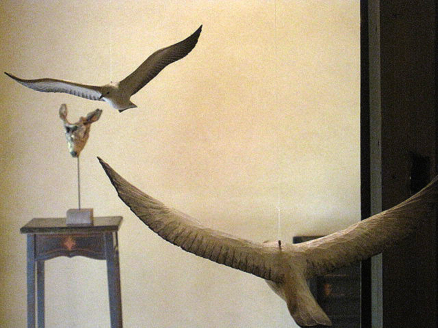 パリ・東京　クロヌマ・タカトシ展 _f0222045_13132897.jpg