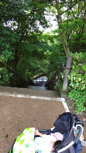 a0072247_19385280.jpg