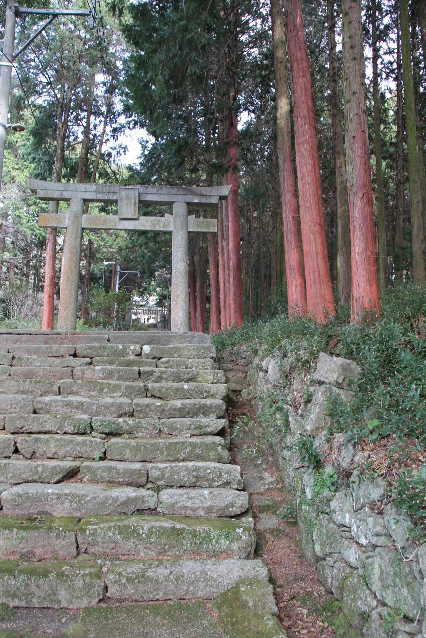 【高祖神社】 神功皇后が三韓より凱旋の後、社殿を御建立_c0011649_014764.jpg