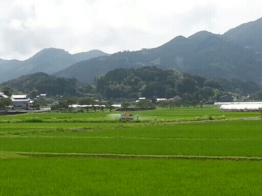 c0330749_11092051.jpg