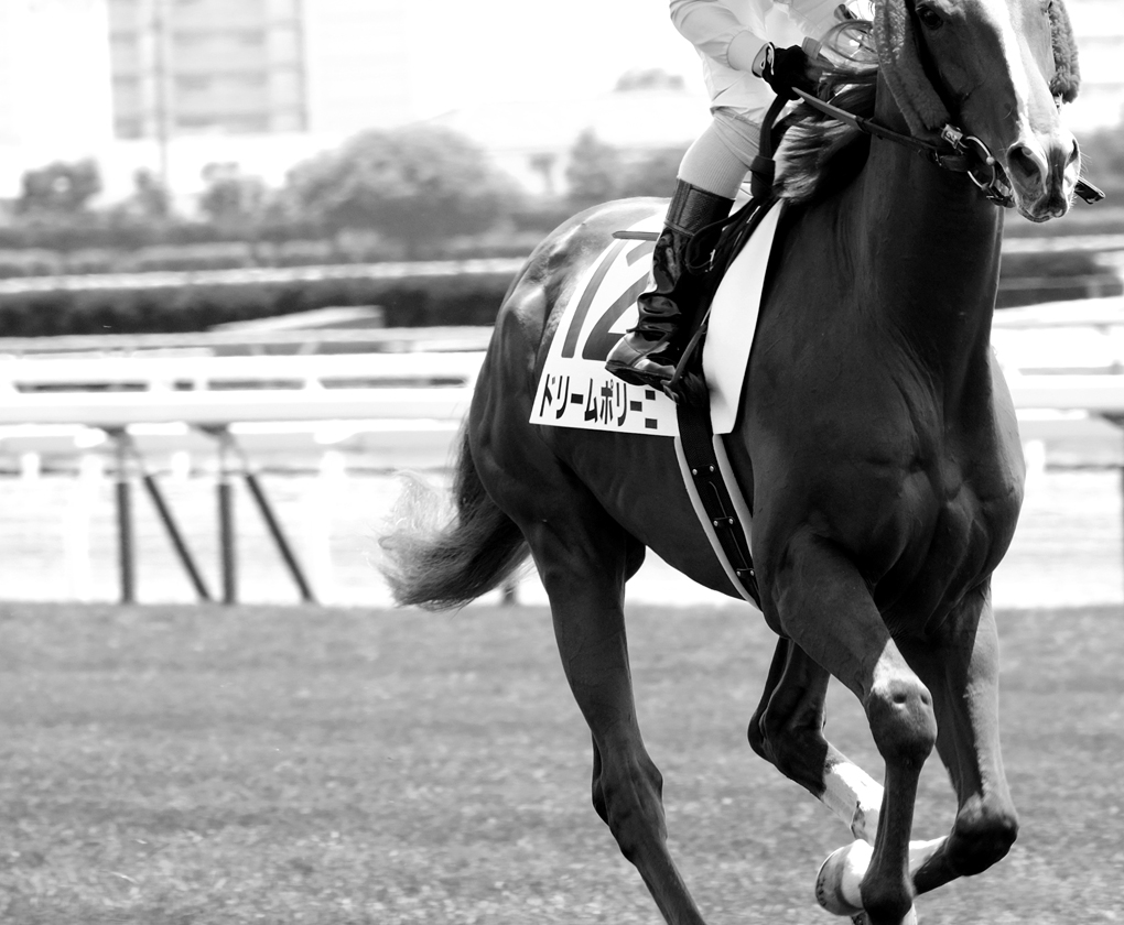 2015 函館競馬　No.4_f0038653_13511929.jpg