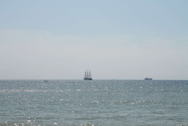 d0029756_1658540.jpg