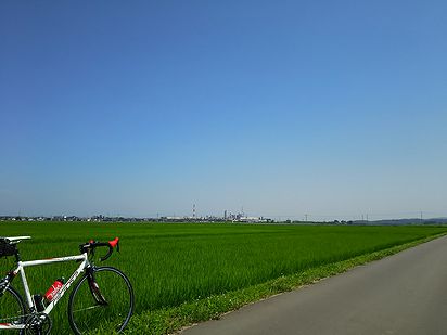 梅雨の晴れ間は大切に_a0096557_17234364.jpg