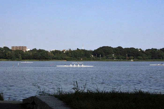 佐鳴湖の風景_c0135957_10253763.jpg