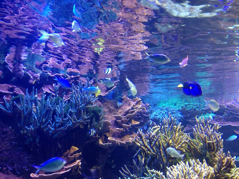 c0115560_11312460.jpg