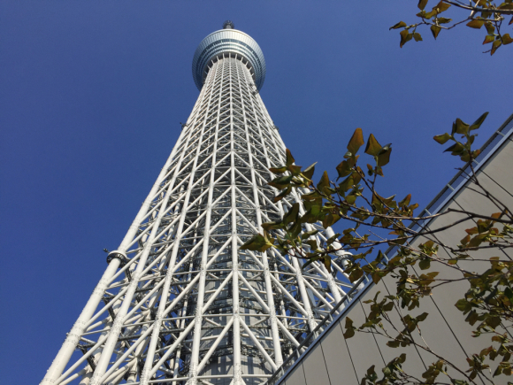 e0169470_20234541.jpg