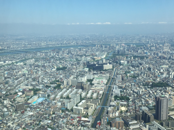 e0169470_20234688.jpg