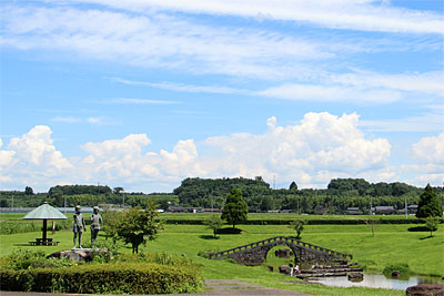 菊陽杉並木公園”さんさん”の睡蓮_c0152779_2023395.jpg