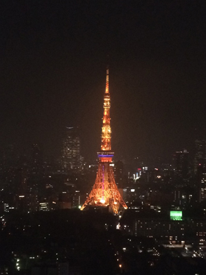 とある雨の日の夜景 幻爽惑星blog