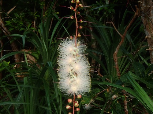 f0305884_10161625.jpg