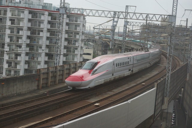 d0181492_012296.jpg