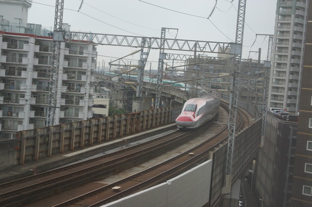 d0181492_01399.jpg