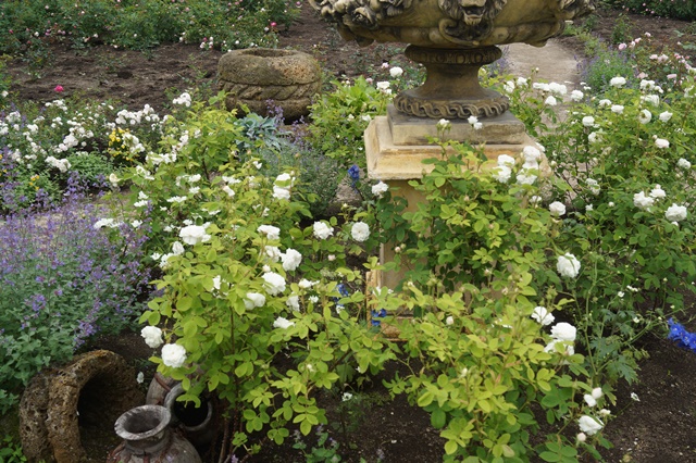 d0181492_016660.jpg