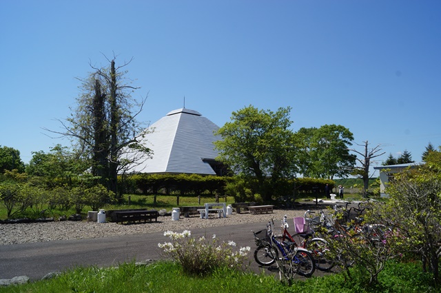 d0181492_16491946.jpg