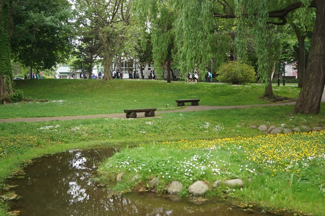 d0181492_17365369.jpg