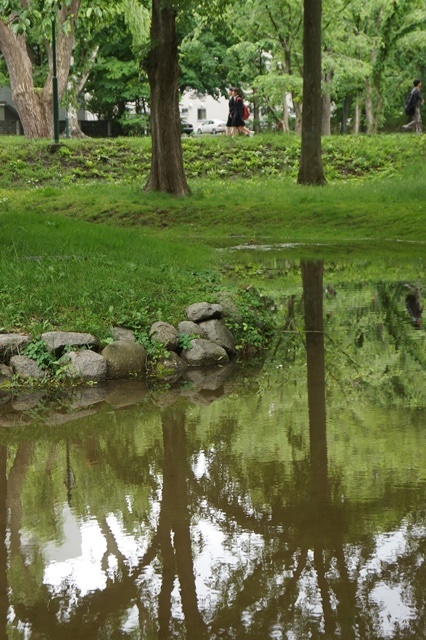 d0181492_17372329.jpg