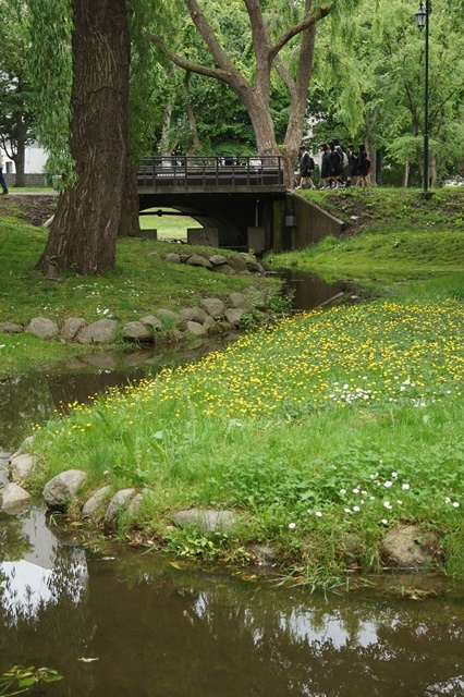 d0181492_17375894.jpg