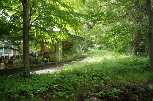 d0181492_17433159.jpg